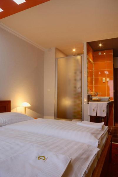 Hotel Druzba ミハロフツェ 部屋 写真